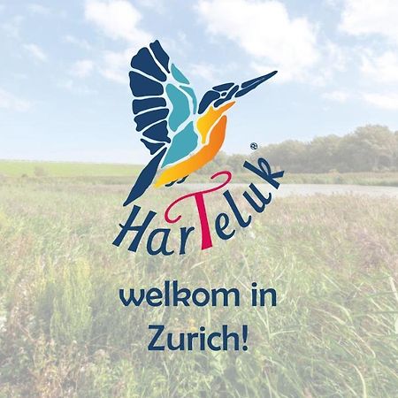 Harteluk Afsluitdijk Zurich Exterior foto